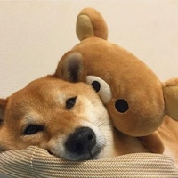 深夜放映室